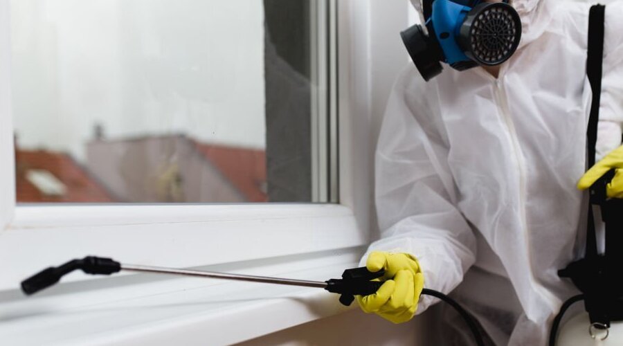 Average Cost of Pest Control Service